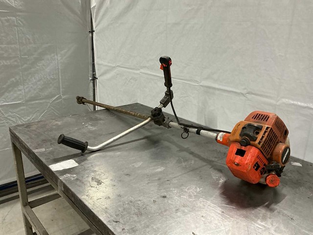 Echo - bosmaaier - afbeelding 1 van  5