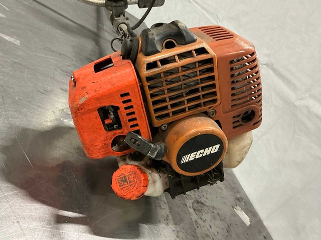 Echo - bosmaaier - afbeelding 2 van  5