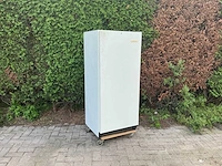 Ecofreeze koelkast op trolley