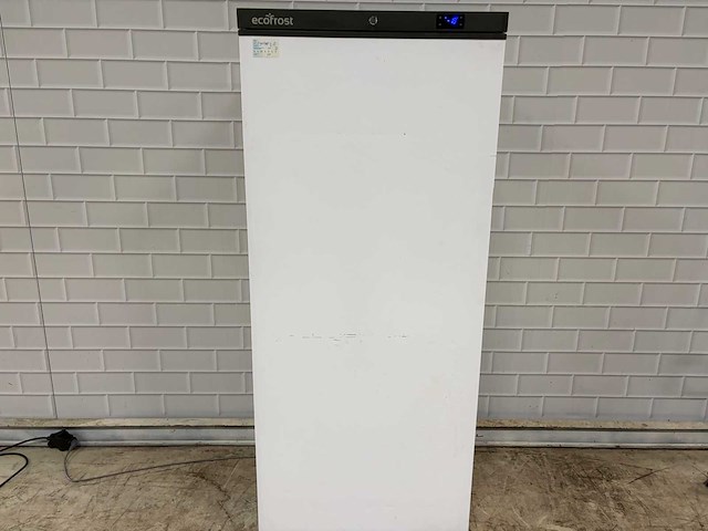 Ecofrost - f600 - vriezer - afbeelding 1 van  6
