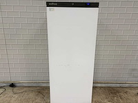 Ecofrost - f600 - vriezer