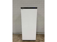 Ecofrost - f600 - vriezer - afbeelding 2 van  6