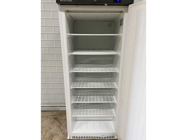 Ecofrost - f600 - vriezer - afbeelding 5 van  6