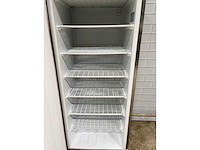 Ecofrost - f600ss - rvs vriezer - afbeelding 6 van  10