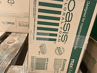 Economy oase (17x) - afbeelding 6 van  6