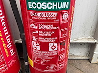 Ecoschuim 6 liter brandblusser (2x) - afbeelding 3 van  5