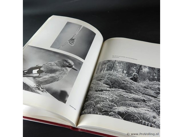 Ede op de veluwe - afbeelding 4 van  5