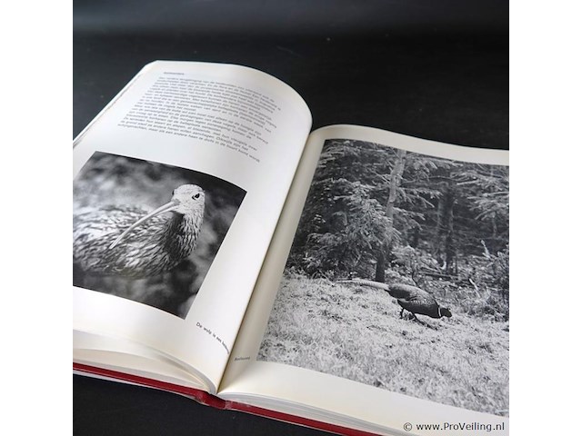 Ede op de veluwe - afbeelding 5 van  5