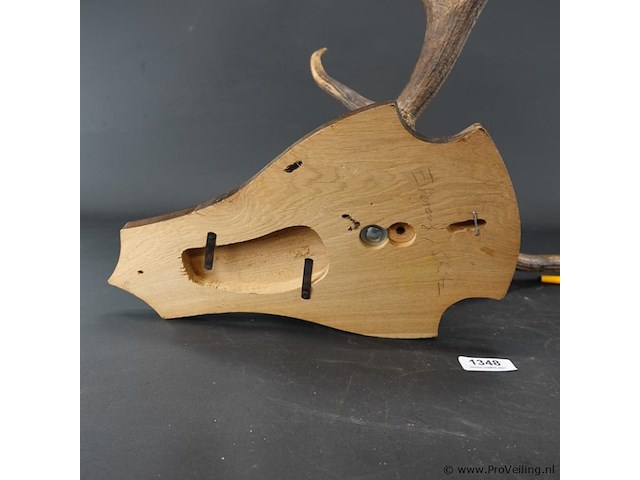 Edelhertgewei op een schild. - afbeelding 5 van  5