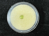 Edelsteen - geel - groene edelsteen - afbeelding 1 van  2