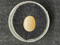 Edelsteen - oranje edelsteen