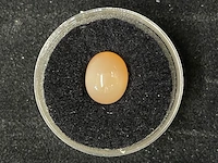 Edelsteen - oranje edelsteen