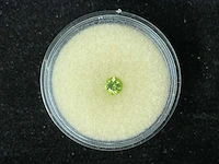 Edelsteen - peridot