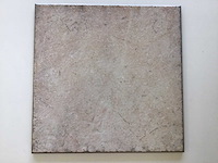 Edimax - rouge - 42x42 cm - 52m2 - wandtegel - afbeelding 1 van  6