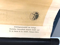 Educatieve wandkaart of schoolplaat van het menselijk spierstelsel ("muskeln") - afbeelding 6 van  8