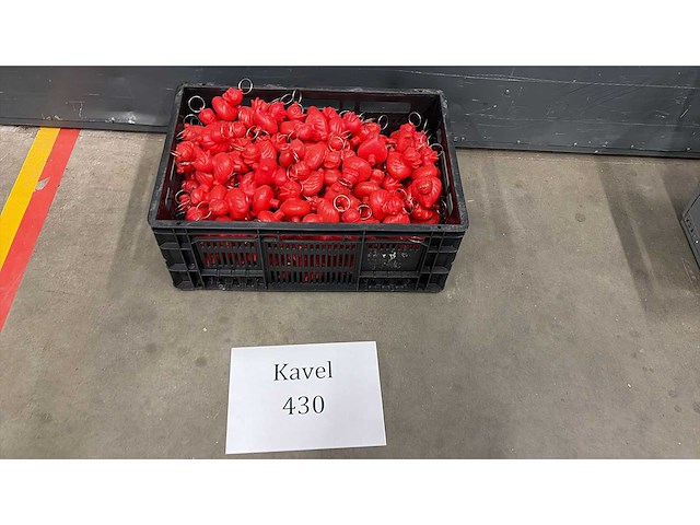 Eendjes rood - afbeelding 1 van  2