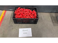 Eendjes rood - afbeelding 1 van  2