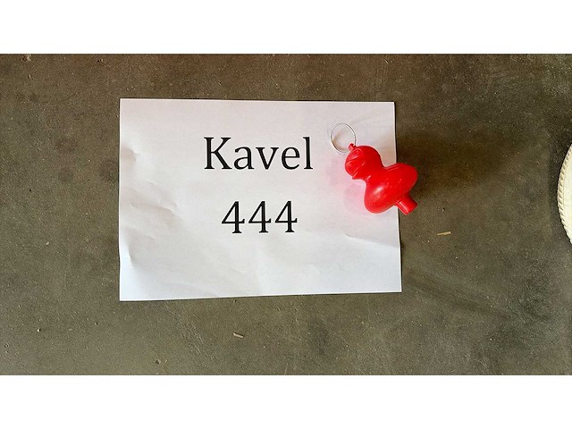 Eendjes - afbeelding 2 van  2