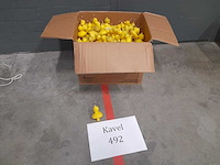 Eendjes - afbeelding 1 van  1