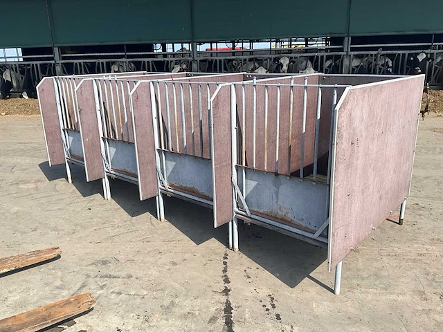 Eenlingbox voor 4 kalveren - afbeelding 1 van  15