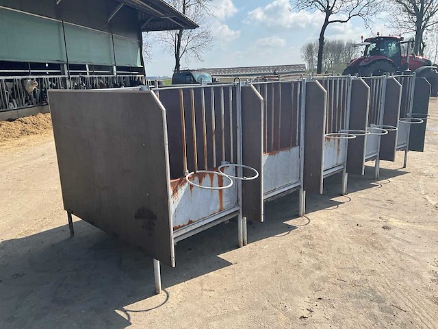 Eenlingbox voor 5 kalveren - afbeelding 11 van  17