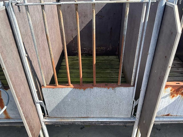 Eenlingbox voor 5 kalveren - afbeelding 5 van  10