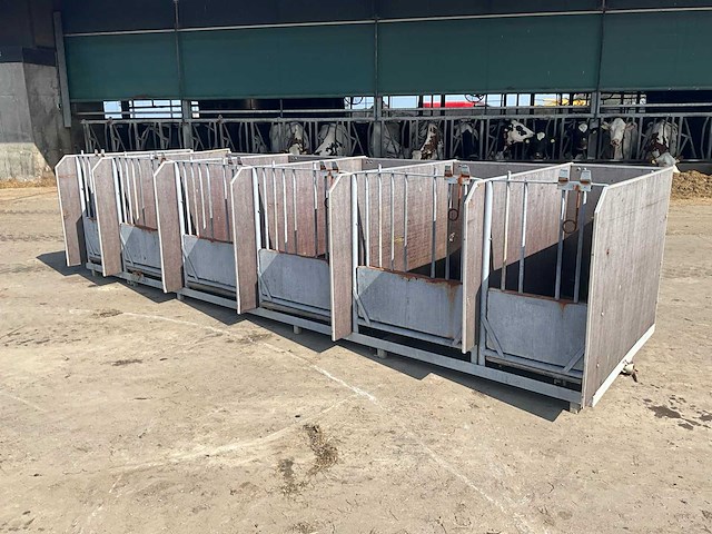 Eenlingbox voor 6 kalveren - afbeelding 1 van  18