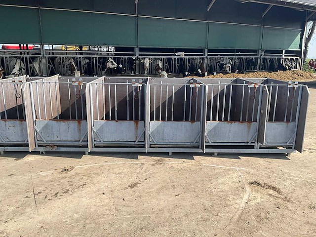 Eenlingbox voor 6 kalveren - afbeelding 11 van  18