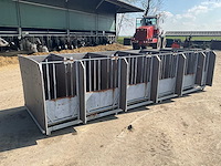 Eenlingbox voor 6 kalveren - afbeelding 12 van  18