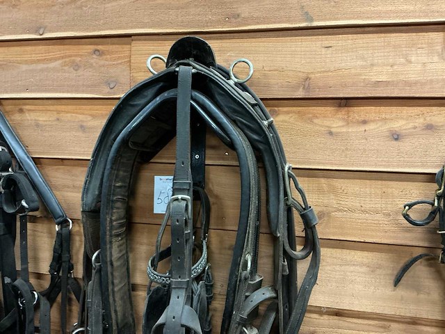 Eenspan paardentuig - afbeelding 1 van  6
