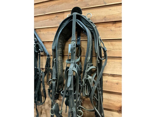 Eenspan paardentuig - afbeelding 2 van  6