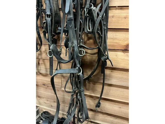 Eenspan paardentuig - afbeelding 3 van  6