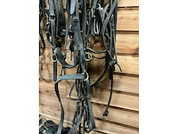 Eenspan paardentuig - afbeelding 3 van  6