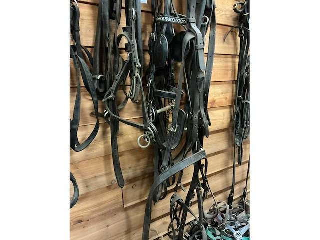 Eenspan paardentuig - afbeelding 5 van  6