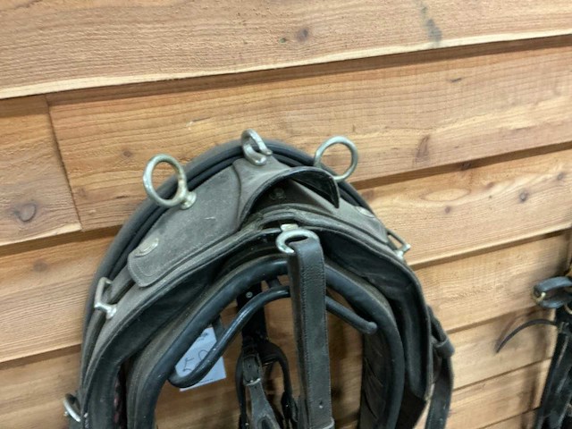 Eenspan paardentuig - afbeelding 6 van  6