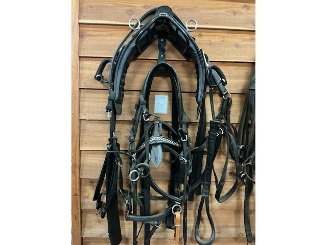 Eenspan paardentuig - afbeelding 3 van  5