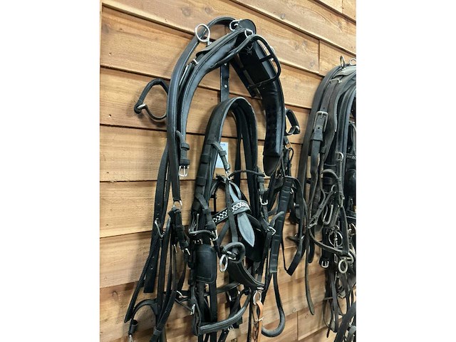 Eenspan paardentuig - afbeelding 4 van  5