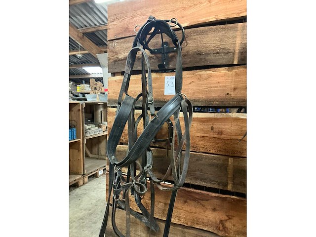 Eenspan ponytuig - afbeelding 2 van  3