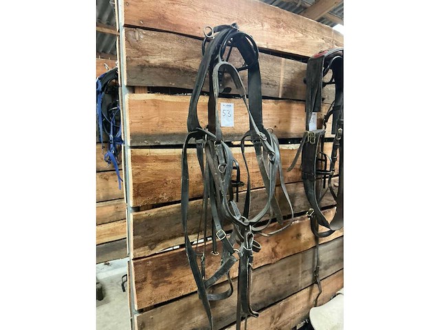 Eenspan ponytuig - afbeelding 3 van  3