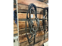 Eenspan ponytuig - afbeelding 3 van  3