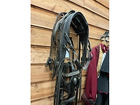 Eenspan ponytuig - afbeelding 2 van  6