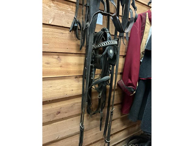 Eenspan ponytuig - afbeelding 3 van  6