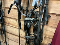 Eenspan ponytuig - afbeelding 6 van  6