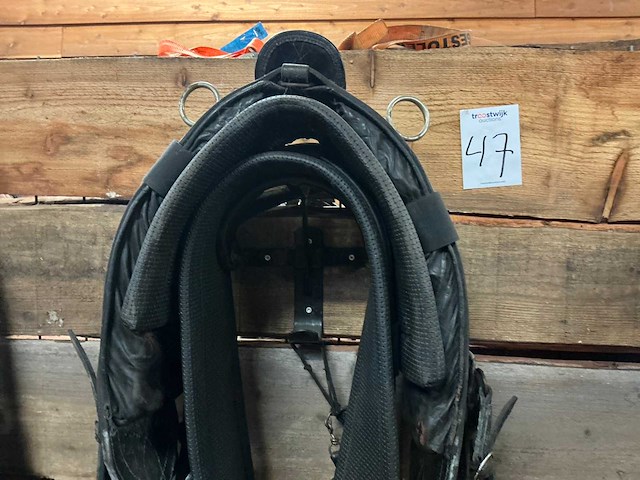 Eenspantuig - afbeelding 2 van  12