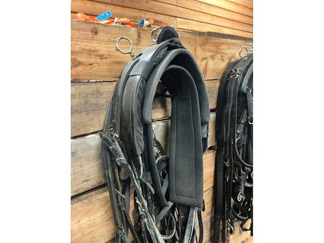 Eenspantuig - afbeelding 3 van  12