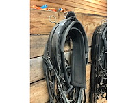 Eenspantuig - afbeelding 3 van  12