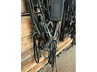 Eenspantuig - afbeelding 4 van  12