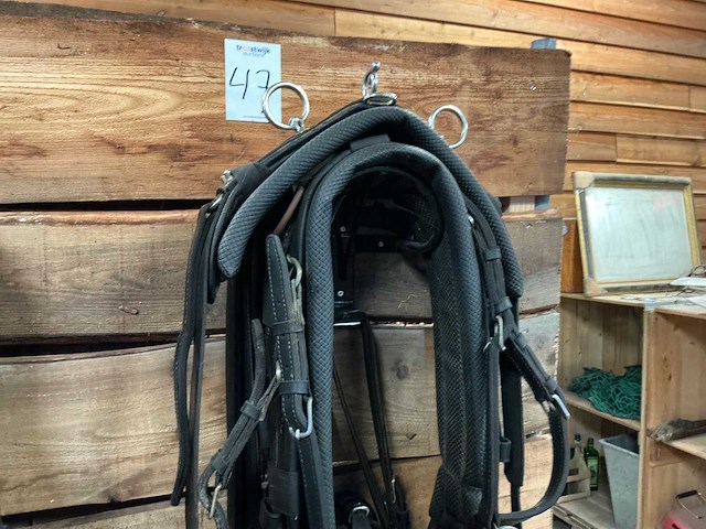 Eenspantuig - afbeelding 1 van  12