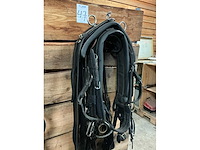 Eenspantuig - afbeelding 5 van  12