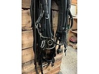 Eenspantuig - afbeelding 6 van  12